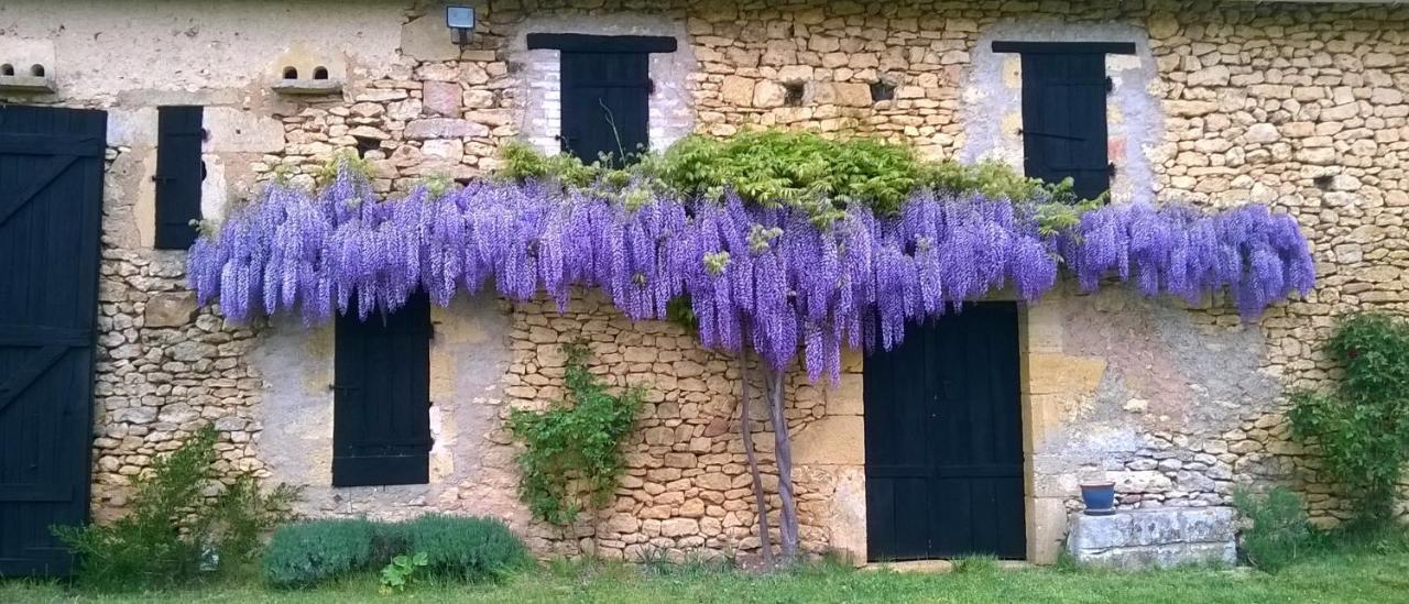 Domaine De Manilau Villa Le Buisson-de-Cadouin Bagian luar foto