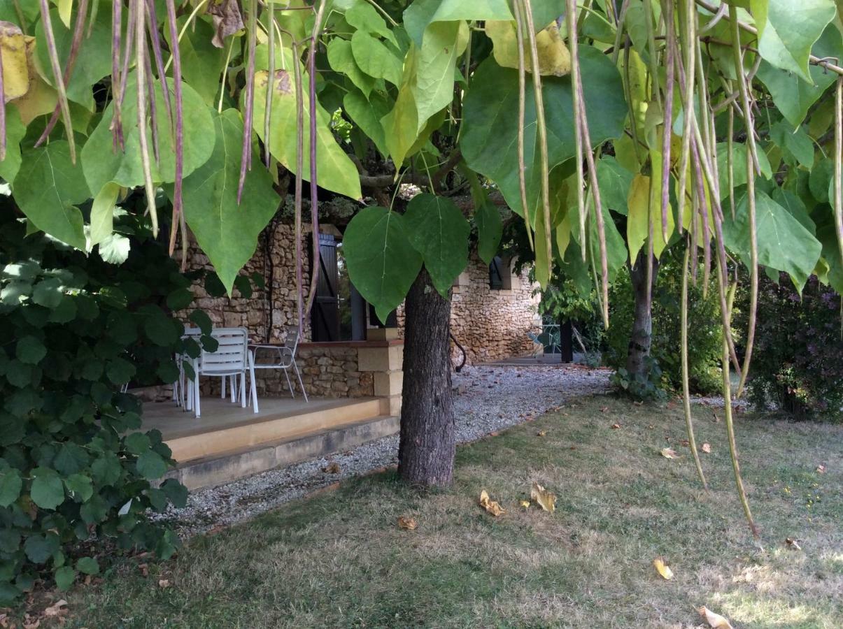 Domaine De Manilau Villa Le Buisson-de-Cadouin Bagian luar foto