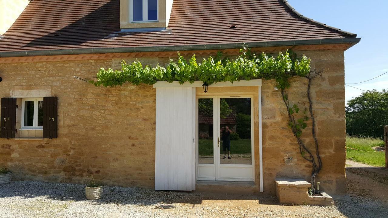 Domaine De Manilau Villa Le Buisson-de-Cadouin Bagian luar foto